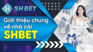 SHBET được hẫu thuận tài chính từ tập đoàn OKVIP