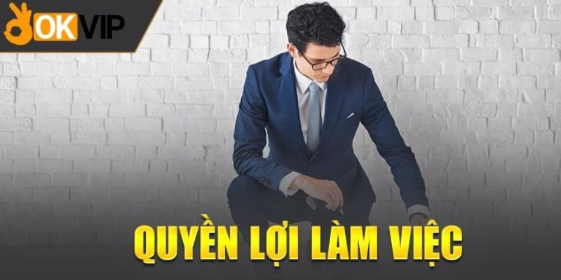 Đãi ngộ làm việc OKVIP - Phúc lợi toàn vẹn