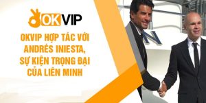 Trách nhiệm của OKVIP trong mối quan hệ hợp tác